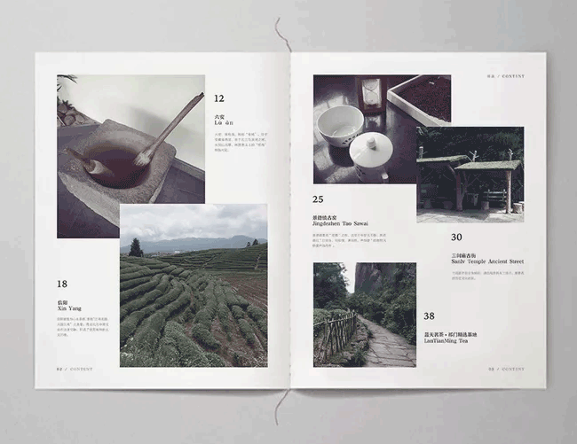 茶葉畫(huà)冊(cè)