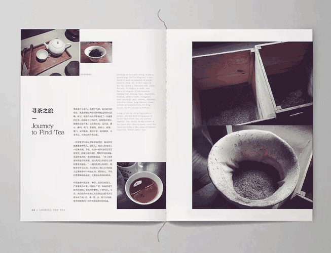 茶葉畫(huà)冊(cè)  第2張