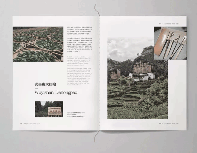 茶葉畫(huà)冊(cè)  第4張