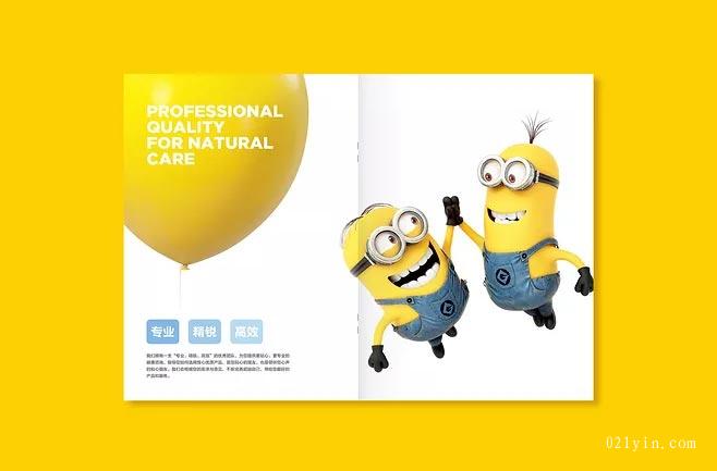 產(chǎn)品手冊  第5張