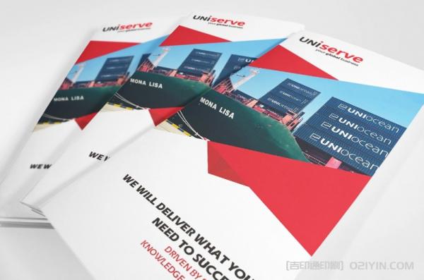 航運(yùn)公司企業(yè)宣傳三折頁  第3張