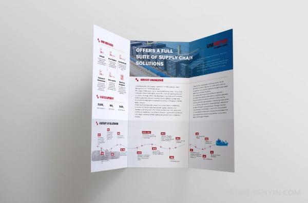 航運(yùn)公司企業(yè)宣傳三折頁  第5張