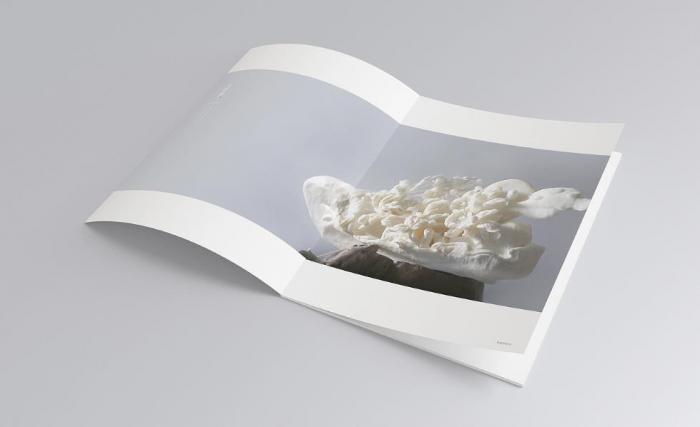 上海目錄冊(cè)印刷定制_按需排版_適配電商 / 展會(huì) / 招商場(chǎng)景